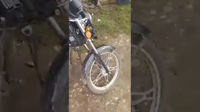 Мая альфа смотреть онлайн