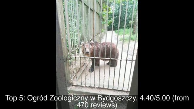 10 Best Tourist Attractions you MUST SEE in Bydgoszcz, Poland | 2019 смотреть онлайн