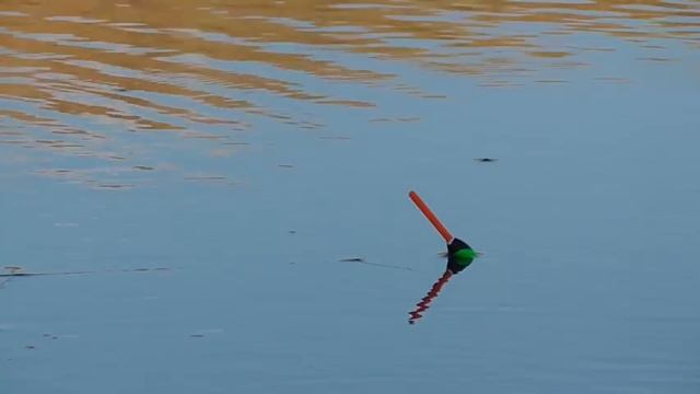 Рыбалка на карася на малой реке. Карась на поплавок в жару смотреть онлайн