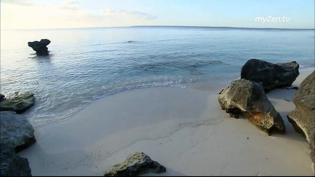 Красивое видео природы в хорошем качестве без музыки смотреть онлайн