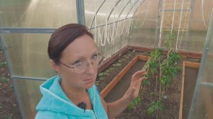 Видео привет с 6 соток 3 июня 2024 года