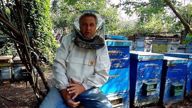 Почему мед кристаллизуется? вся правда!!!! развеиваем миф