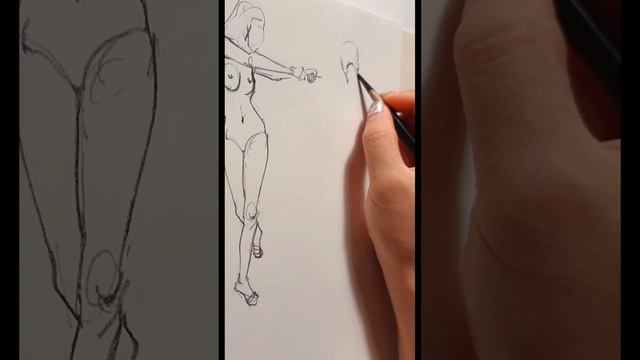 Human Body Sketch