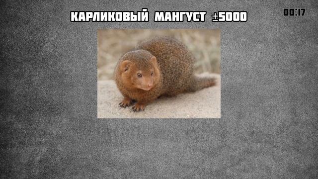 ИГРА 10 БАЛЛОВ ǀǀ КВИЗ ǀǀ ВИКТОРИНА ǀǀ ВЫПУСК #1 смотреть онлайн