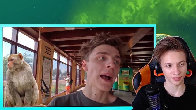 ВЛАД А4 24 Часа в ЗООПАРКЕ Челлендж ! РЕАКЦИЯ НА А4 смотреть онлайн