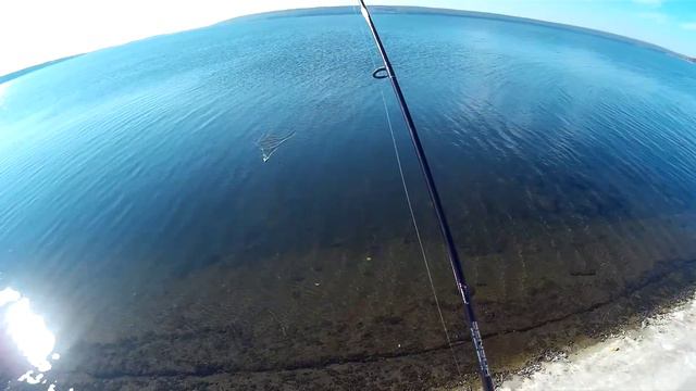 Окуневый БУМ на Печенежском водохранилище/perch on a reservoir/okoń na zbiorniku wodnym смотреть онлайн