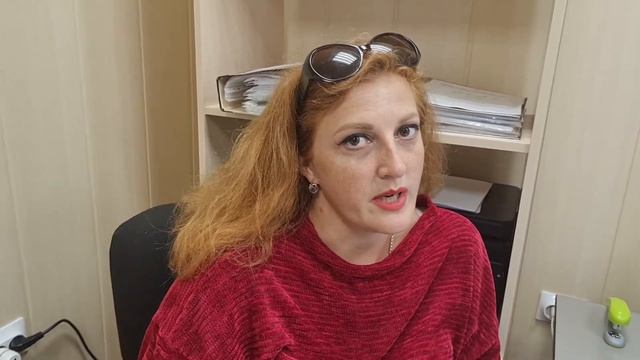 Мнение специалистов о доме за 12 000 000, который выставлен на продажу смотреть онлайн