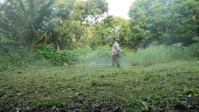 Husqvarna 531RS Testing