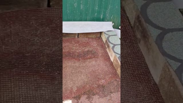 Старая подставка под еврокуб сгнила) Решил не ждать беды) Показываю как сделал новую) смотреть онлайн