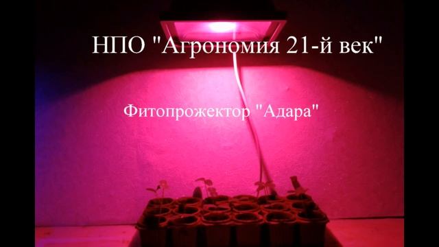 Фитопрожектор для растений "Адара" от НПО "Агрономия 21-й век" смотреть онлайн