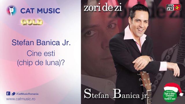 Stefan Banica Jr. - Cine esti (chip de luna)? смотреть онлайн