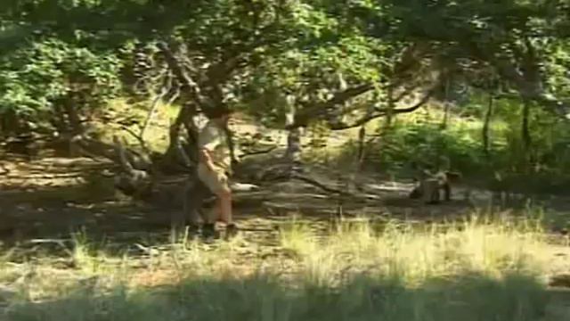 Steve Irwin and Komodo Dragons смотреть онлайн