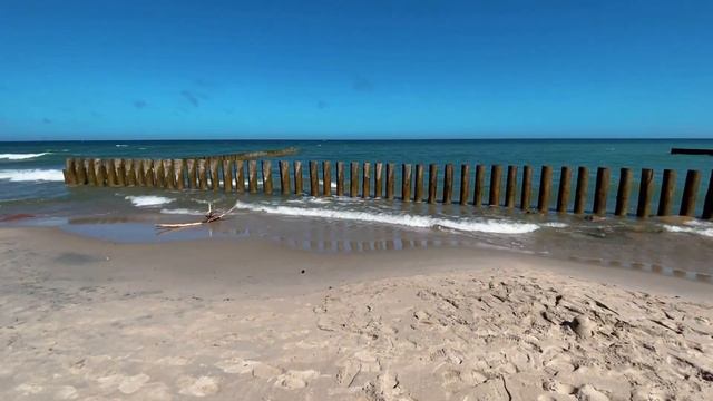 Калининград. Путешествие семьей смотреть онлайн