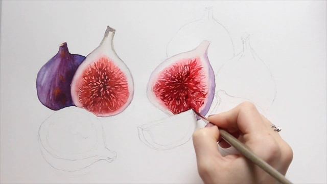 Акварель | Инжир ( Watercolor | figs) смотреть онлайн