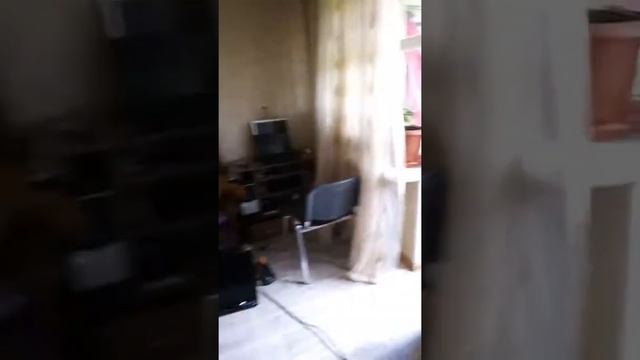 Редкие растения 1 смотреть онлайн