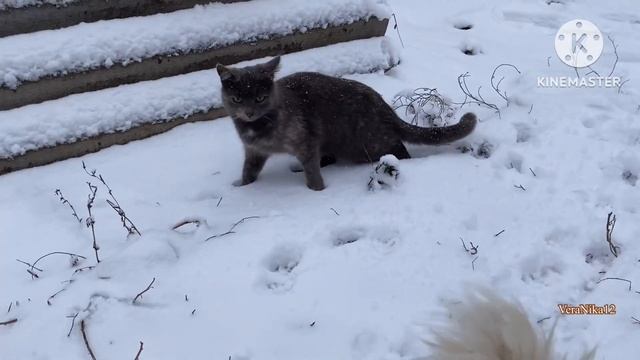 Влог. Белым одеялом Адамовку.Не поймём, но нравится! Фуры за зерном.28 октября 2023 г.