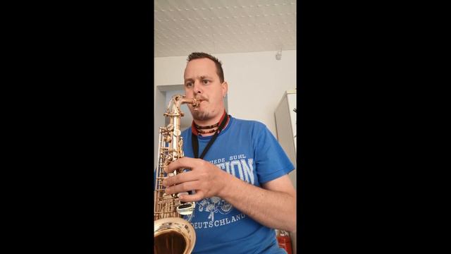 George Zamfir - The Lonely Shepherd Alto Sax смотреть онлайн