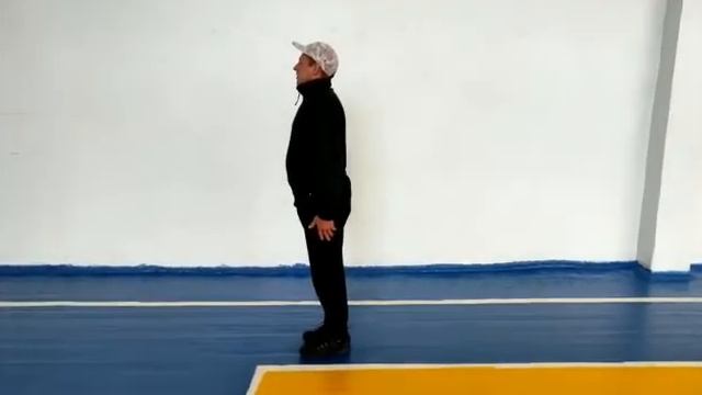 Подготовка к школе Урок физкультуры. Команда равняйсь, смирно, повороты налево, направо, кругом. ОК смотреть онлайн