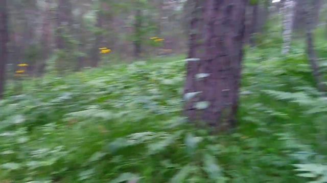 Таргашинский хребет смотреть онлайн