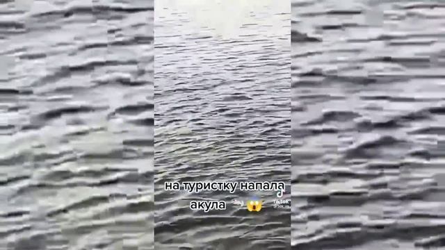 НОВАЯ ЖЕРТВА в ЕГИПТЕ ?? ❗️ Акула загрызла ЕЩЁ ОДНУ туристку в ХУРГАДЕ. Курорт Сахл Хашиш СЕГОДНЯ