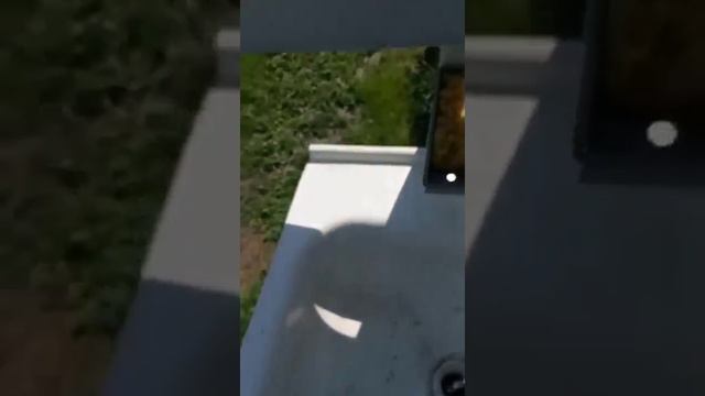 Нашёл монету Петра у себя в огороде! смотреть онлайн