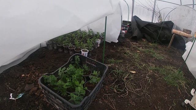 Инфракрасные обогреватели для теплиц смотреть онлайн