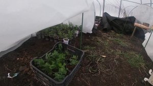 Инфракрасные обогреватели для теплиц