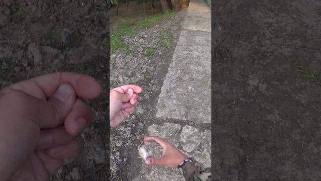 ОКУНЬ НА ВЕРТУШКУ смотреть онлайн