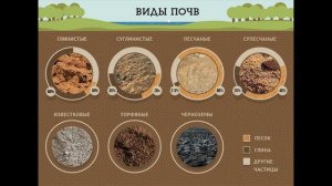 §51 "Почвы", География 5-6 классы, Полярная звезда