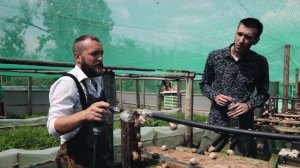 Бизнес на улитках. Улиточная ферма. 2500 кг. улиток. Как начать бизнес с нескольких улиток.