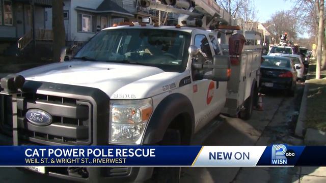 Workers rescue cat stuck on top of utility pole in Milwaukee's Riverwest neighborhood смотреть онлайн