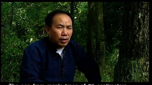 Dyeing the Beauty of Guizhou смотреть онлайн