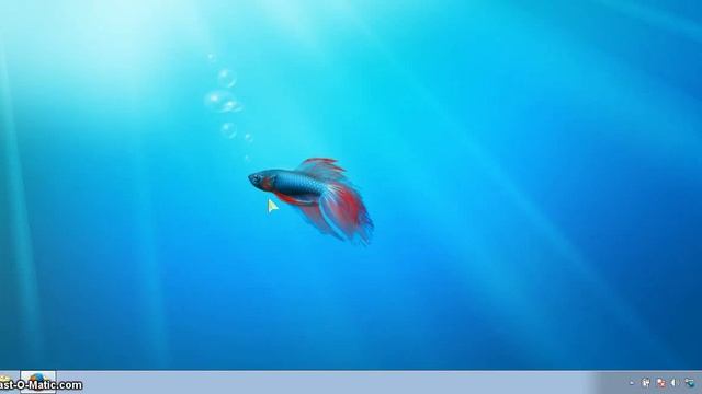 Устанавливаем локальный сервер на компьютер (Denwer) смотреть онлайн