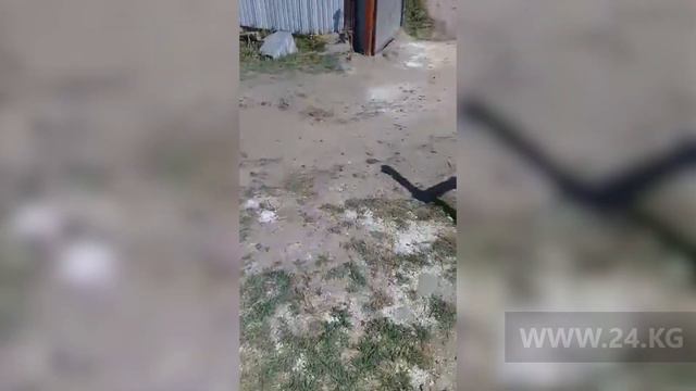 Ослиная ферма смотреть онлайн