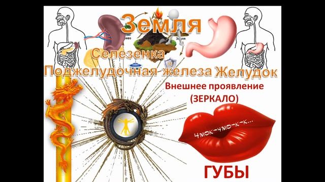 Теория У-Син. «Окна» и «Зеркала» в китайской медицине смотреть онлайн