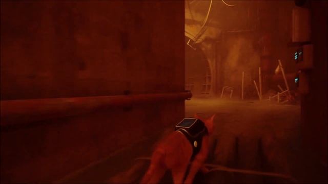 Stray - Full Game Gameplay Walkthrough (Gameplay) Every Chapter смотреть онлайн