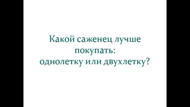 Как правильно выбрать саженец и молодое дерево - Уроки Николая Рабушко смотреть онлайн