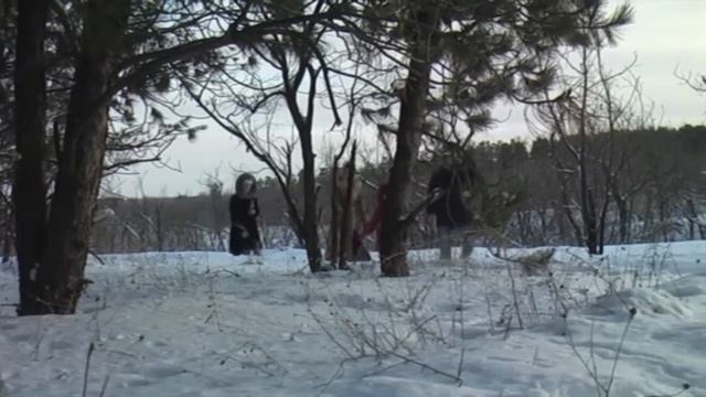 Прогулка по зимнему питомнику в городе Камышин смотреть онлайн
