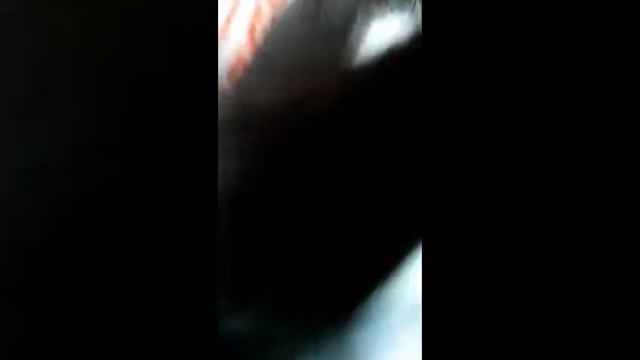 Котёнок даун смотреть онлайн