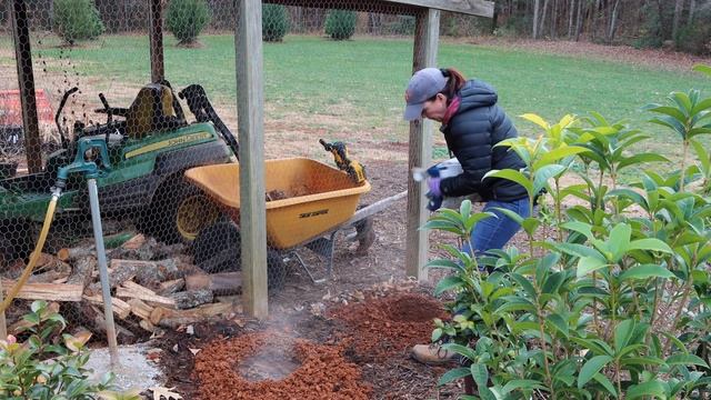 Planting New Camellias | Gardening With Creekside