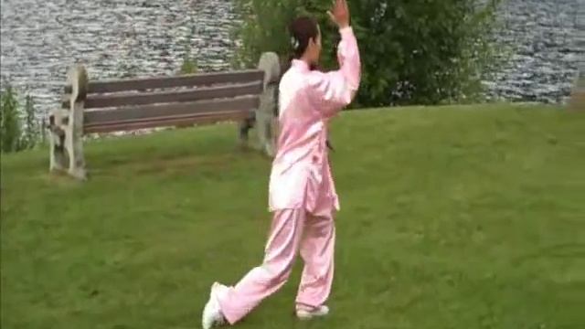 Chen Tai Chi 18 Form | Chen Taiji смотреть онлайн