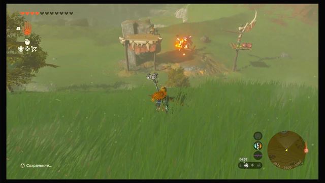 Легенда о Зельде: Слёзы королевства. Как работает Конфуксия смотреть онлайн