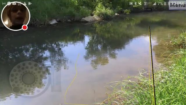 My Fly Fishing Simulator Stream смотреть онлайн