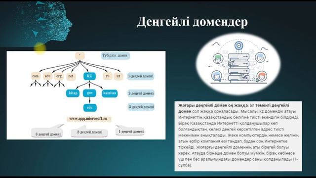 ДОМЕН ЖҮЙЕСІ