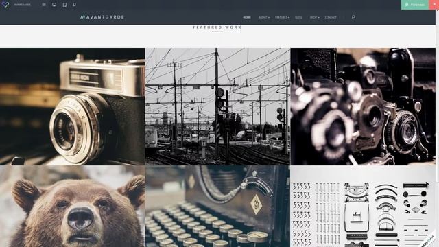AvantGarde - Responsive WordPress Theme смотреть онлайн