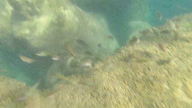 Девочки резвятся в море смотреть онлайн