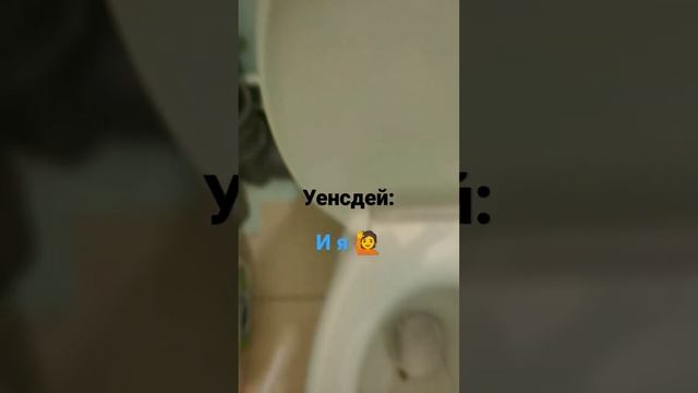 уенсдей в унитаз фанаты лестайте дальше смотреть онлайн