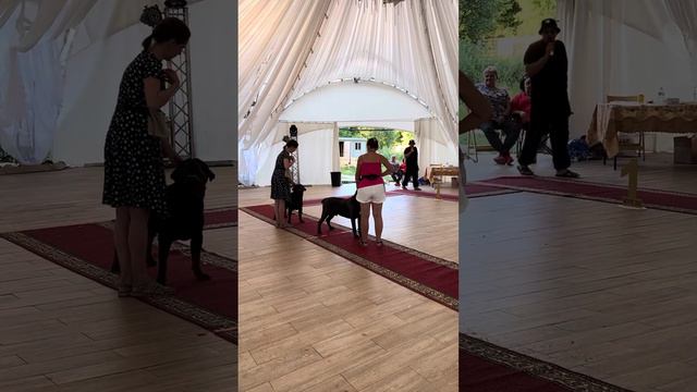 Титан- Best 2 группы- 1 место 🥳🥳🥳 смотреть онлайн