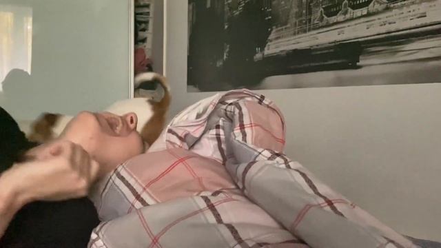 Наш сентябрь | Сентябрьский влог смотреть онлайн