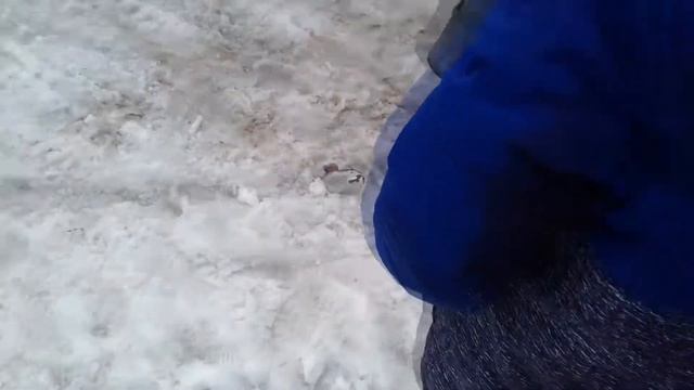 СКУТЕР ЗА 1 ТЫСЯЧУ ! #6 смотреть онлайн